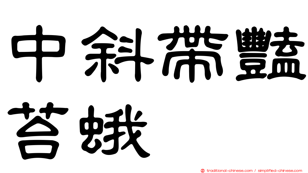 中斜帶豔苔蛾