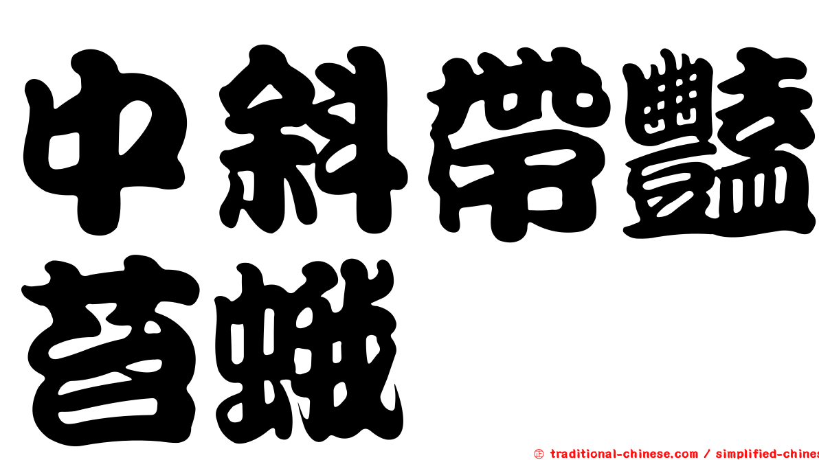 中斜帶豔苔蛾