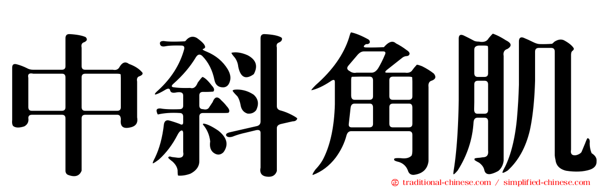 中斜角肌