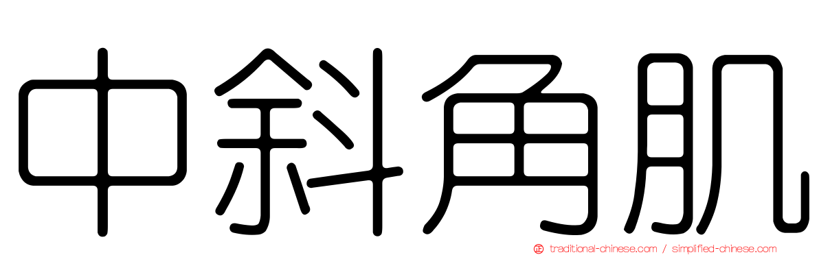 中斜角肌