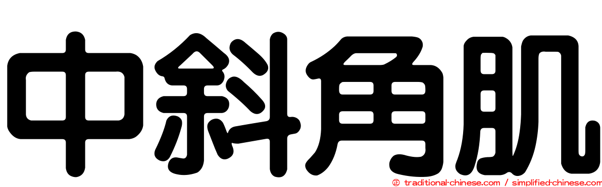 中斜角肌