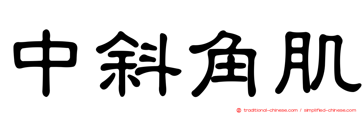 中斜角肌