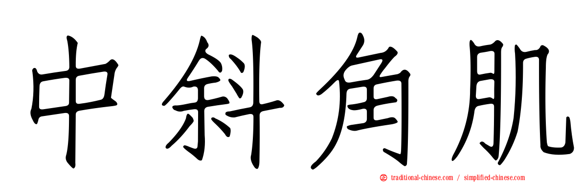 中斜角肌