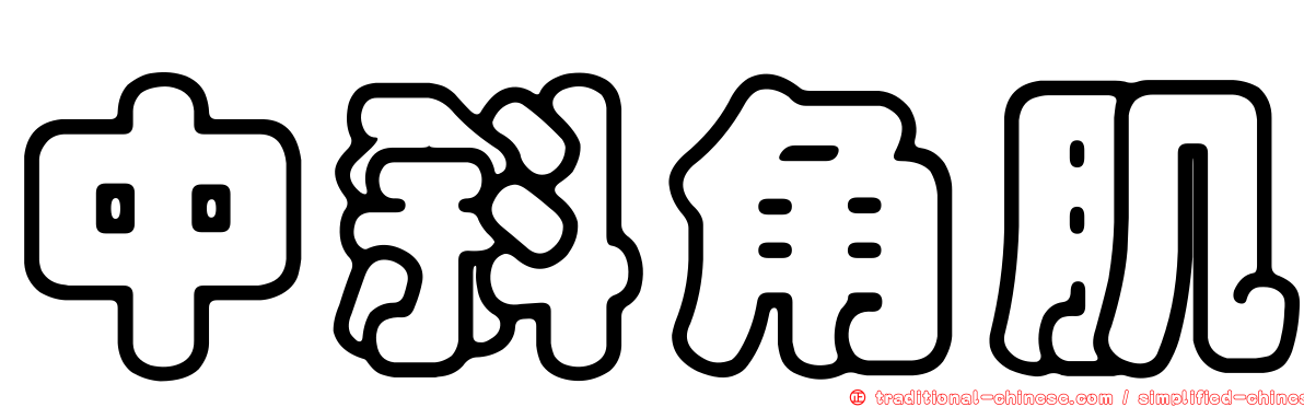 中斜角肌