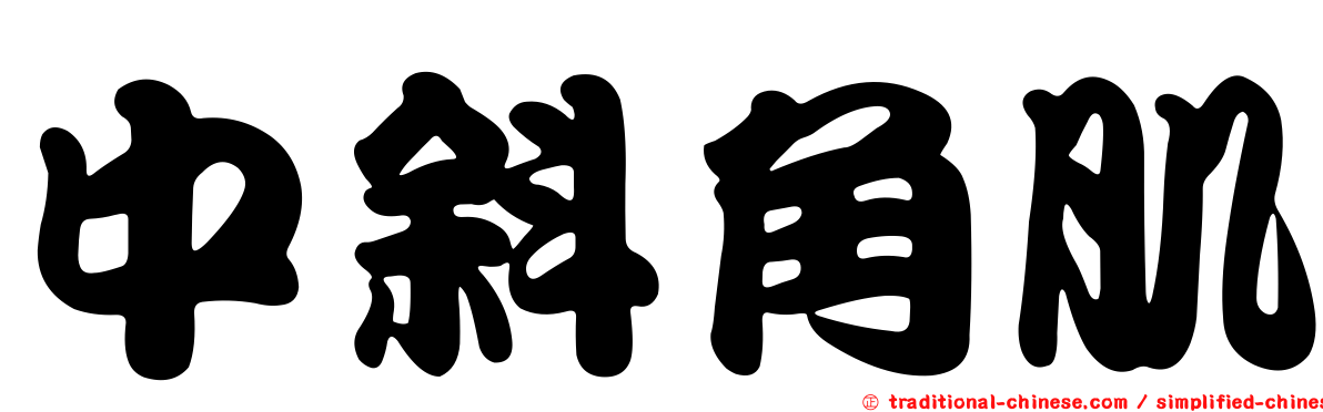 中斜角肌