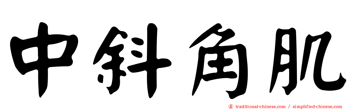 中斜角肌