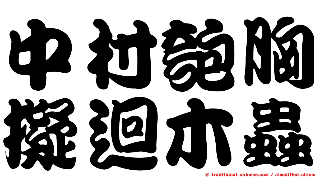 中村匏胸擬迴木蟲