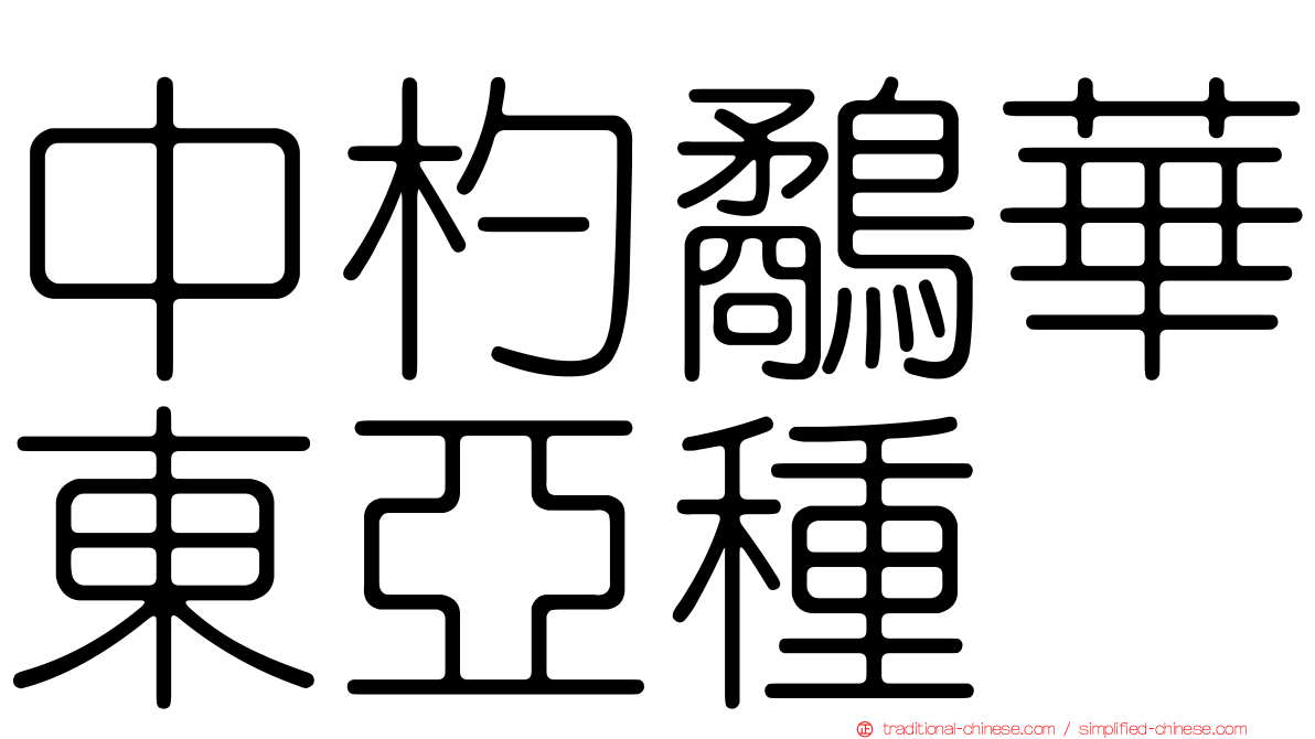 中杓鷸華東亞種