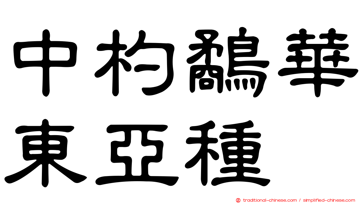 中杓鷸華東亞種