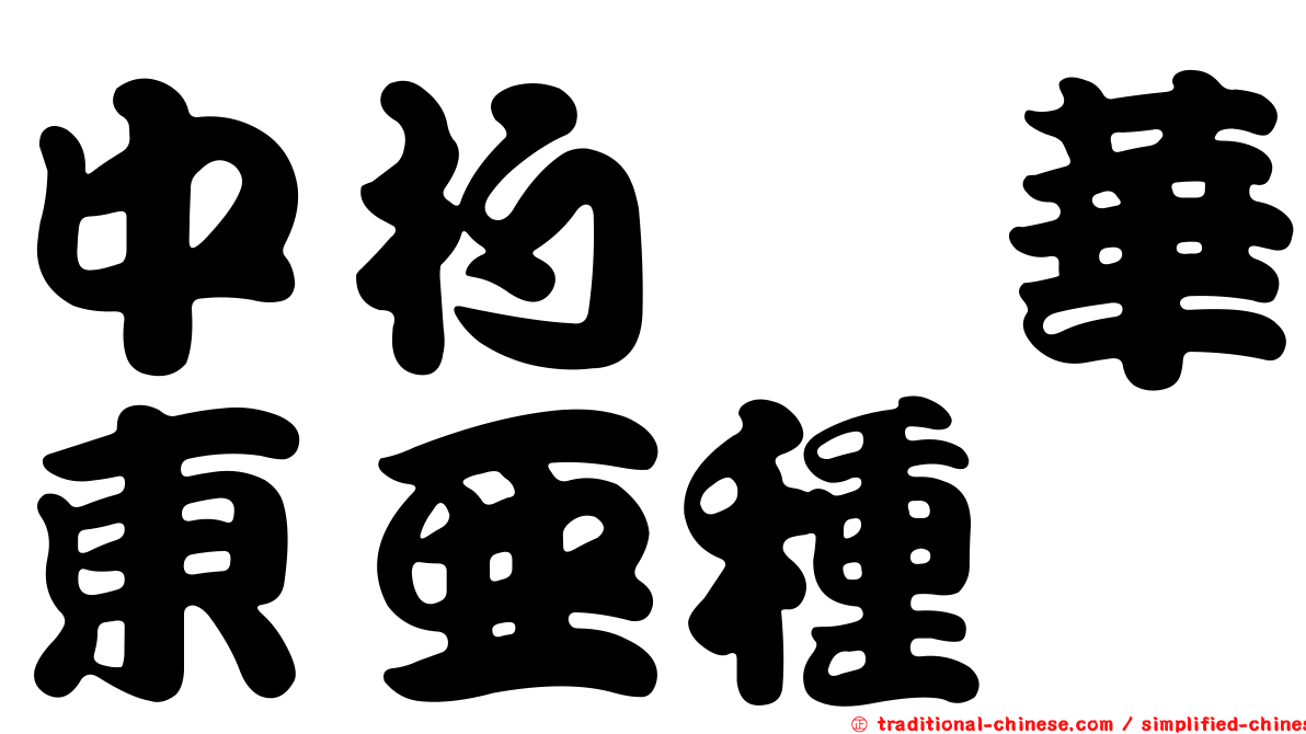 中杓鷸華東亞種
