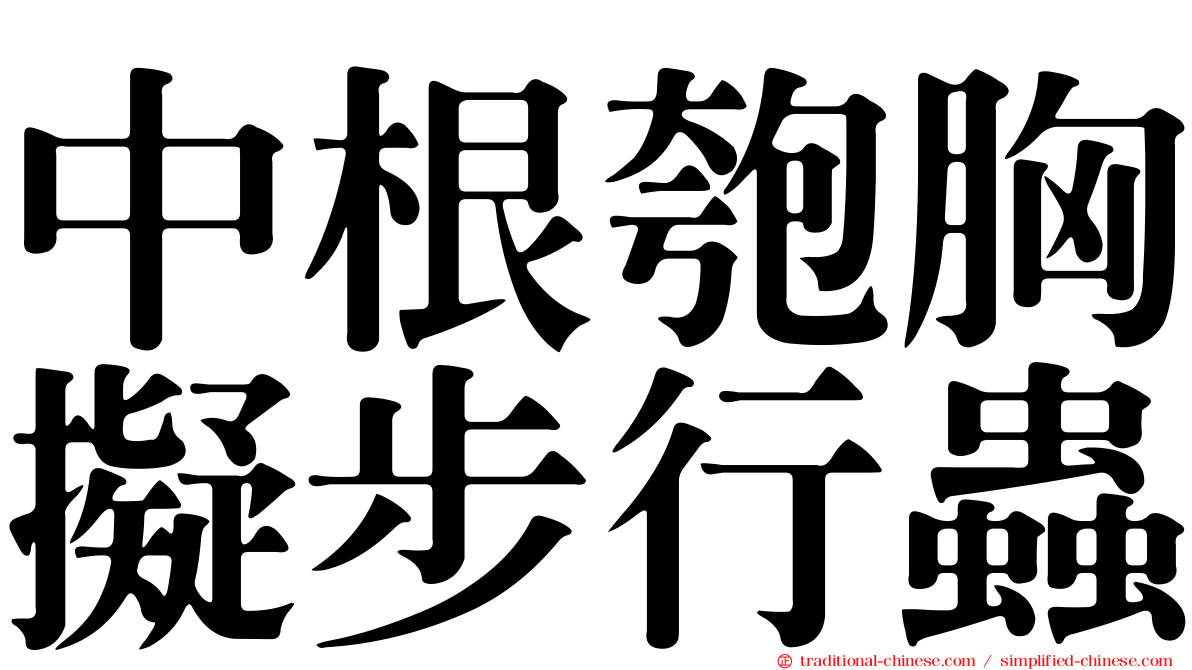 中根匏胸擬步行蟲