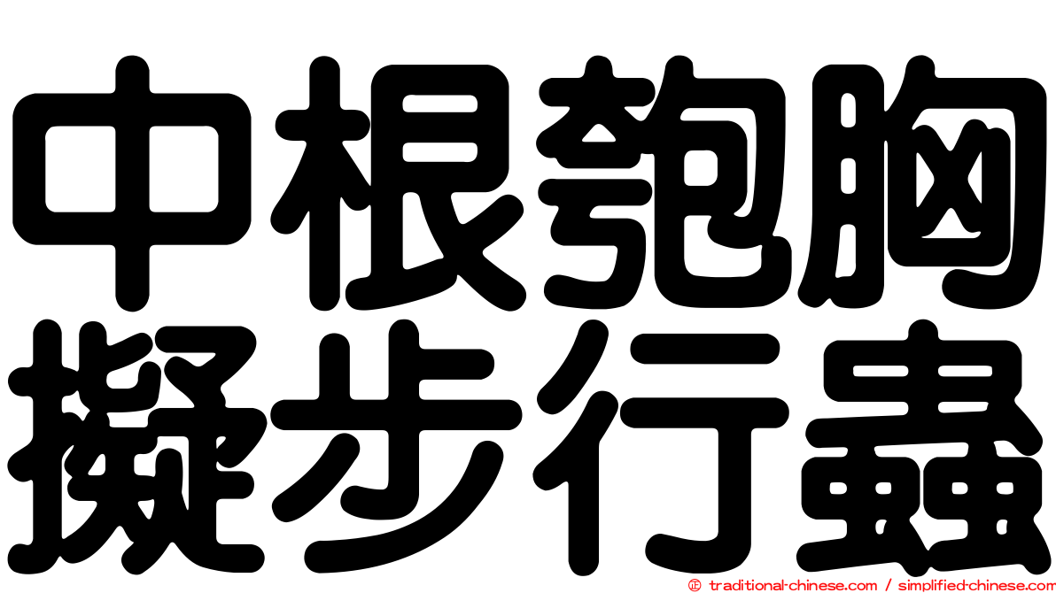 中根匏胸擬步行蟲