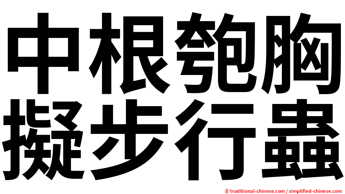 中根匏胸擬步行蟲