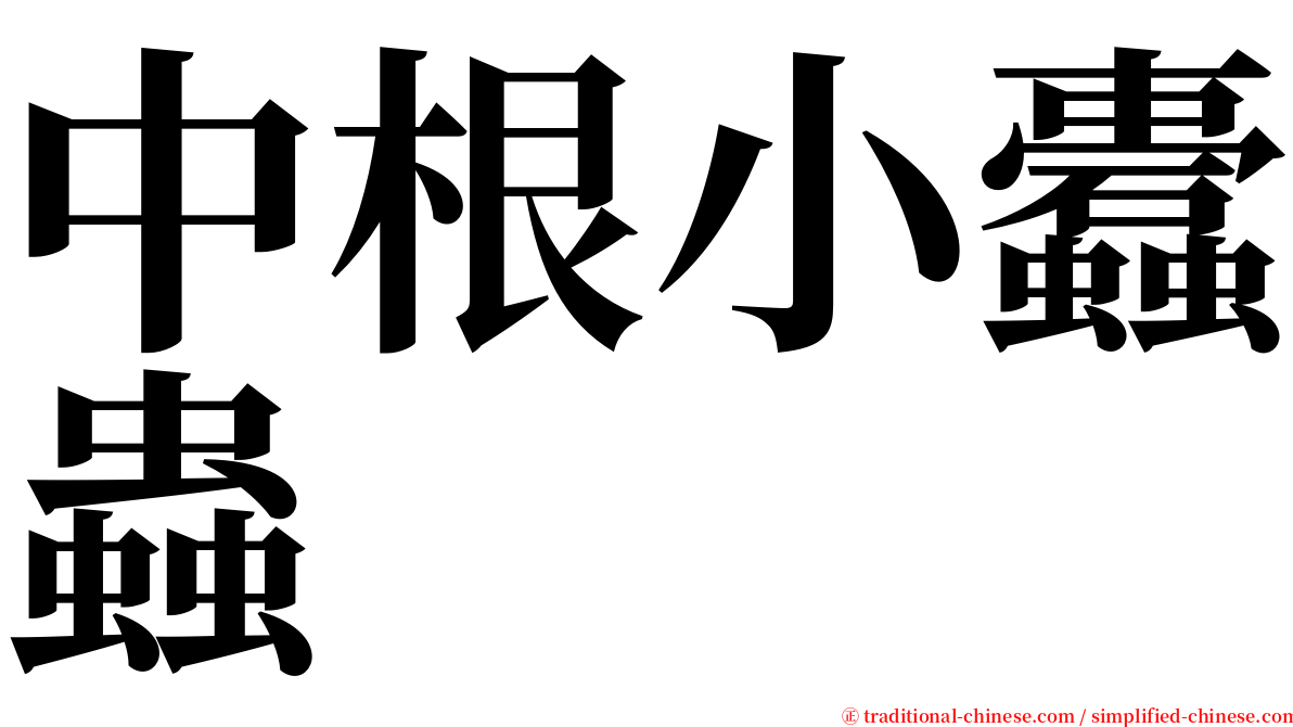 中根小蠹蟲 serif font