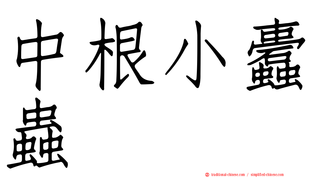 中根小蠹蟲