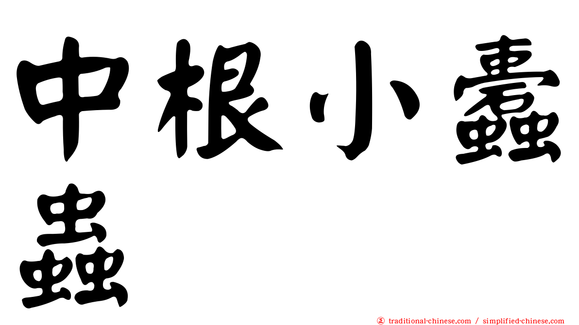 中根小蠹蟲