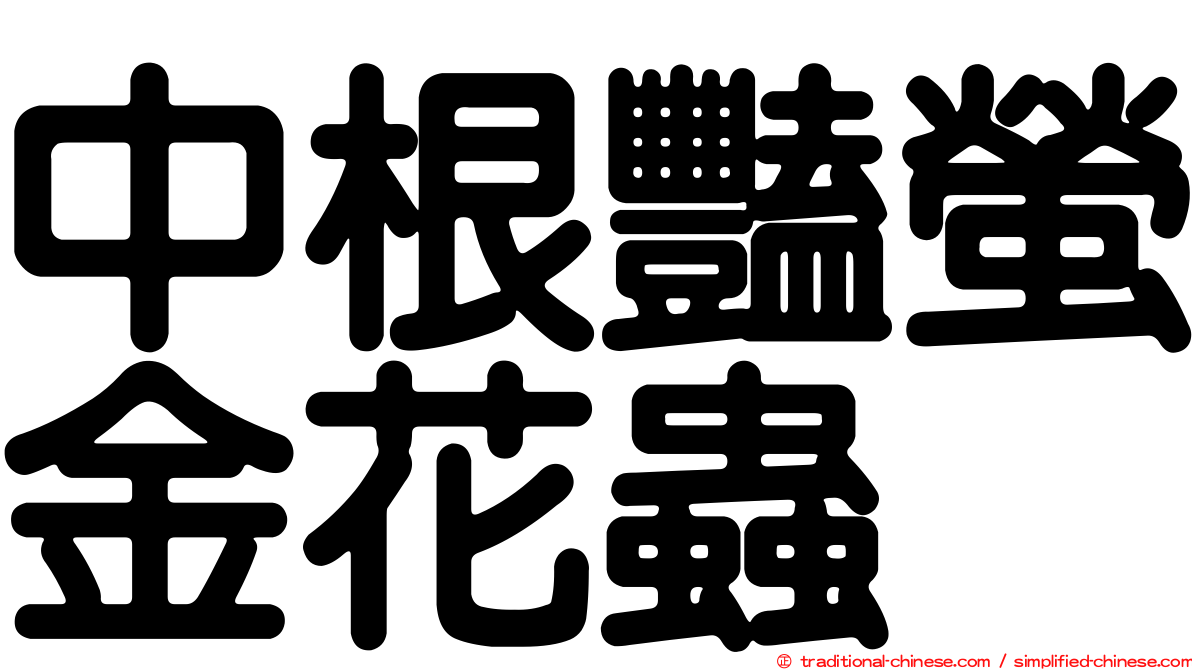 中根豔螢金花蟲