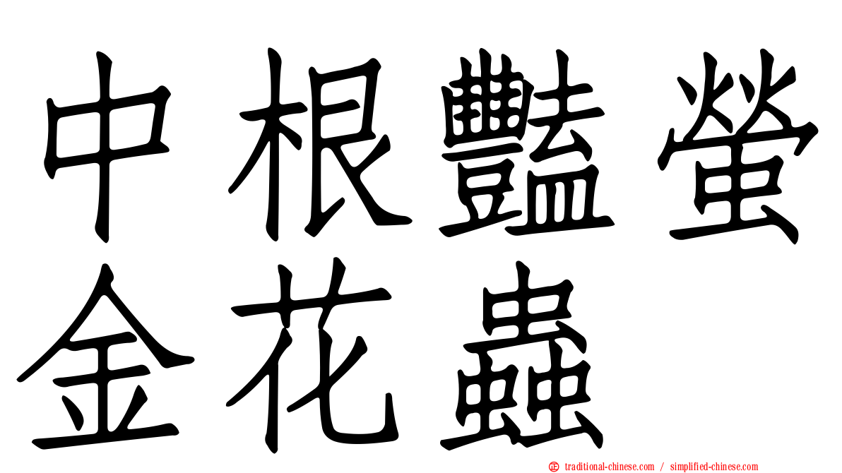 中根豔螢金花蟲