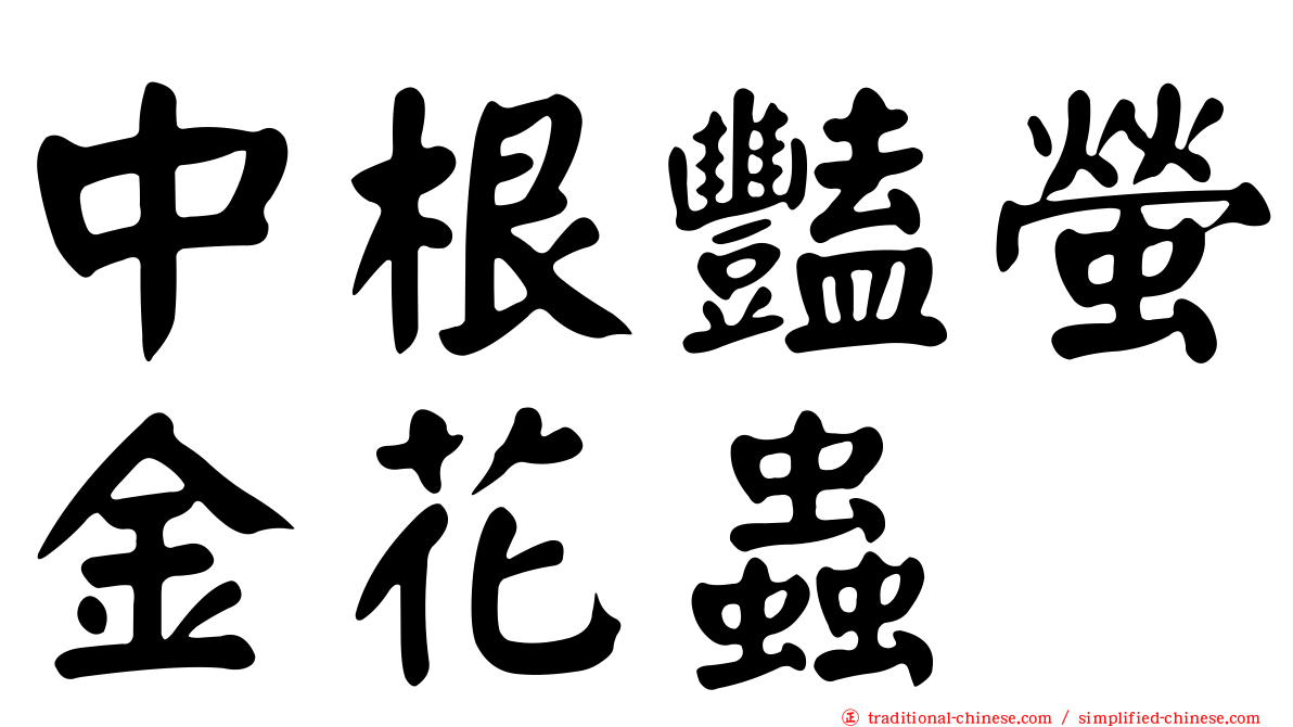中根豔螢金花蟲