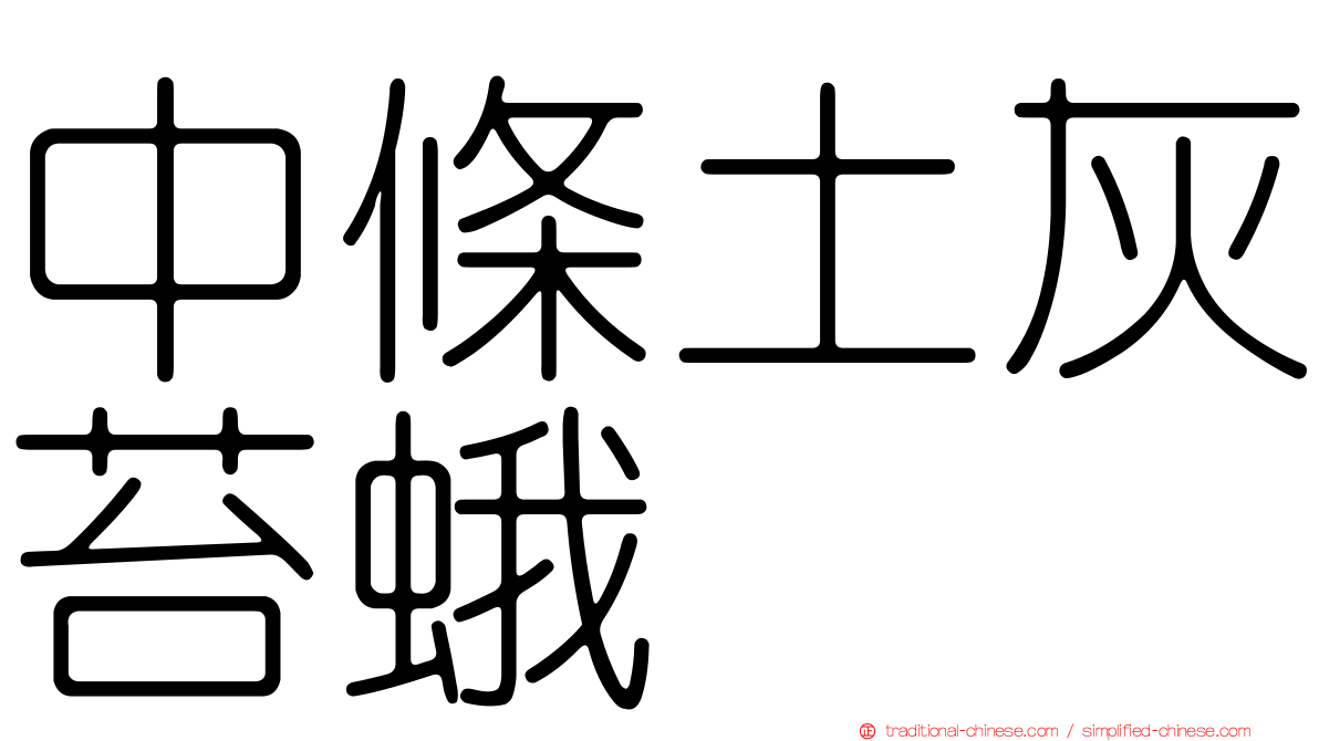 中條土灰苔蛾
