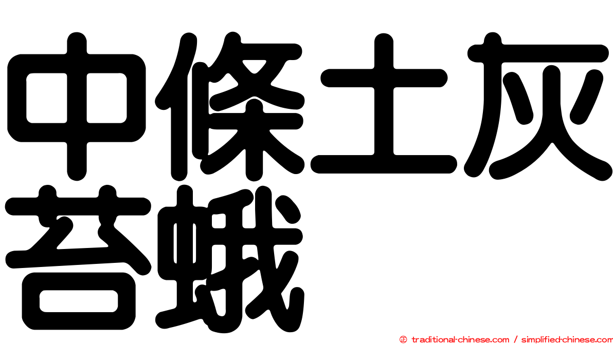 中條土灰苔蛾