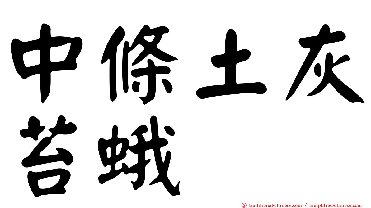 中條土灰苔蛾