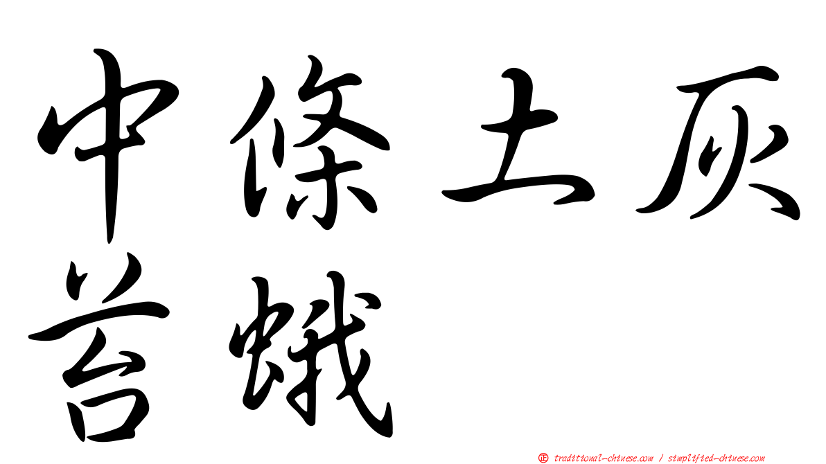 中條土灰苔蛾