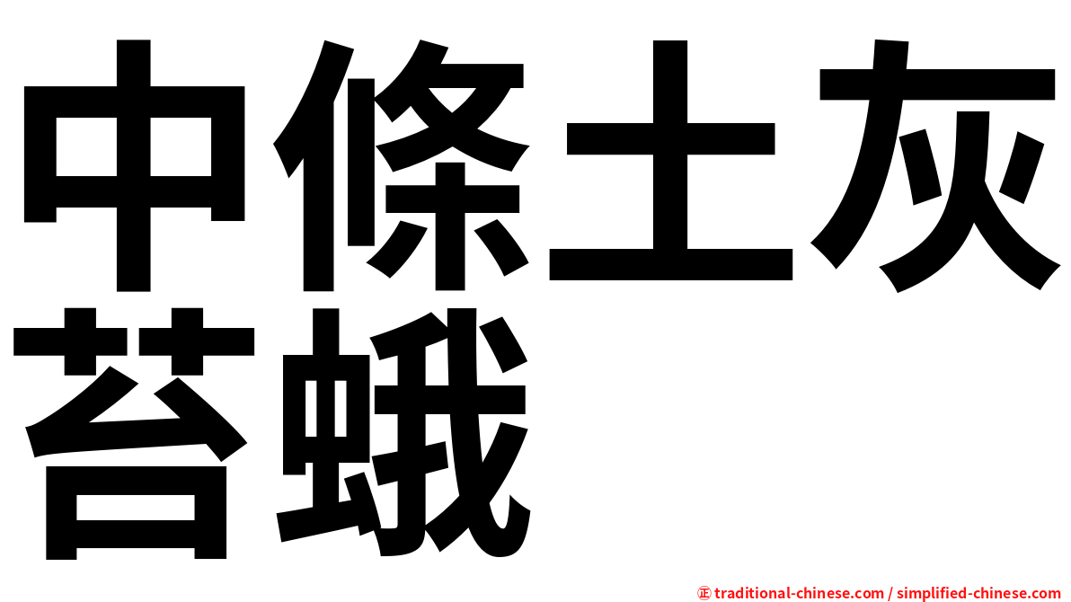中條土灰苔蛾