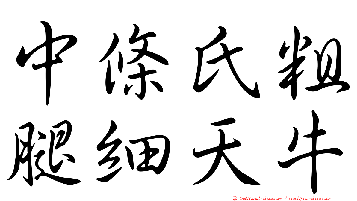 中條氏粗腿細天牛