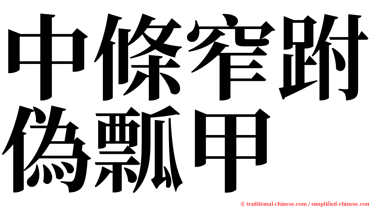 中條窄跗偽瓢甲 serif font