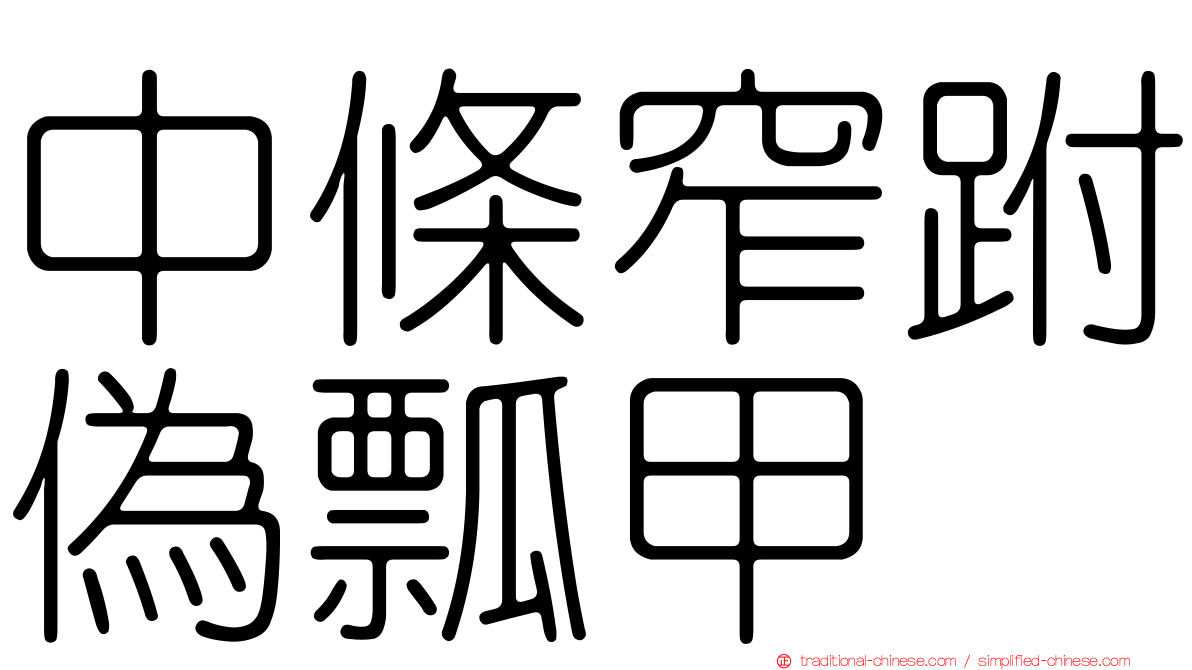 中條窄跗偽瓢甲