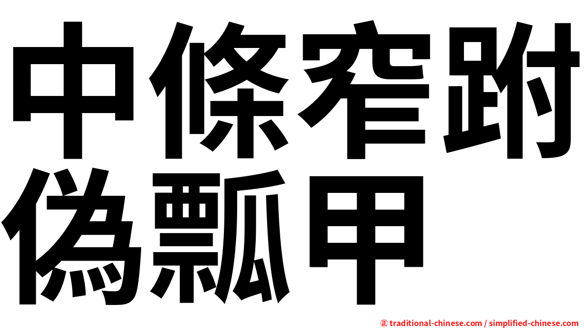 中條窄跗偽瓢甲
