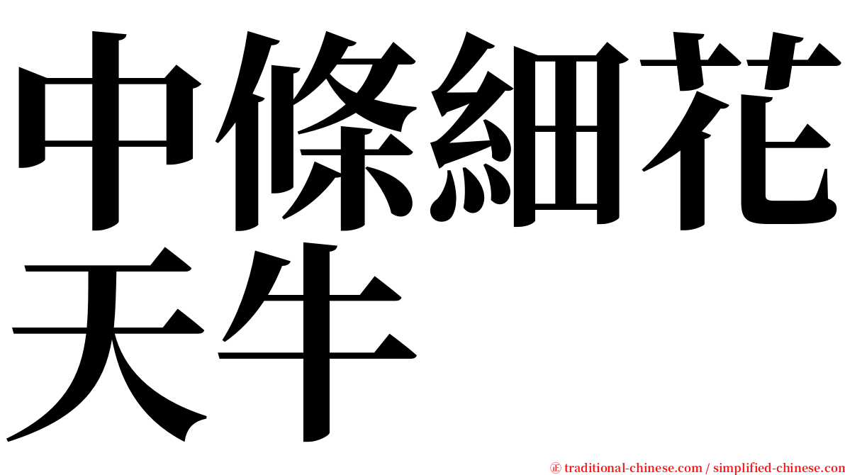 中條細花天牛 serif font