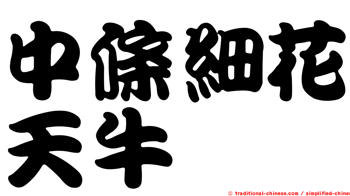 中條細花天牛
