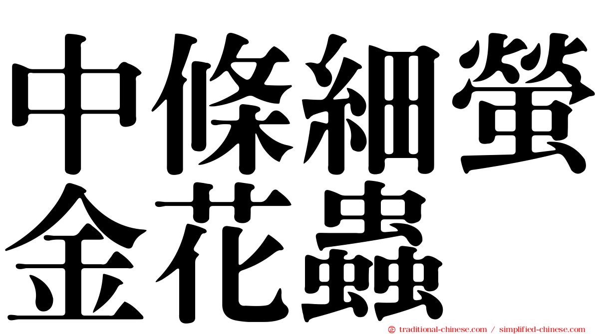 中條細螢金花蟲