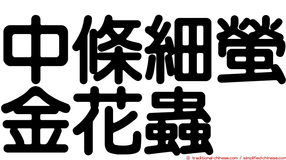 中條細螢金花蟲