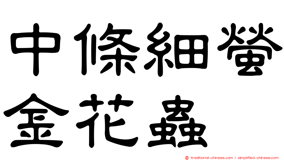 中條細螢金花蟲