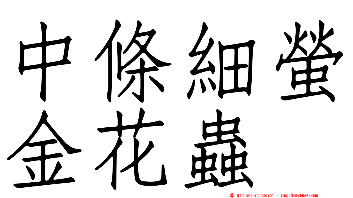 中條細螢金花蟲