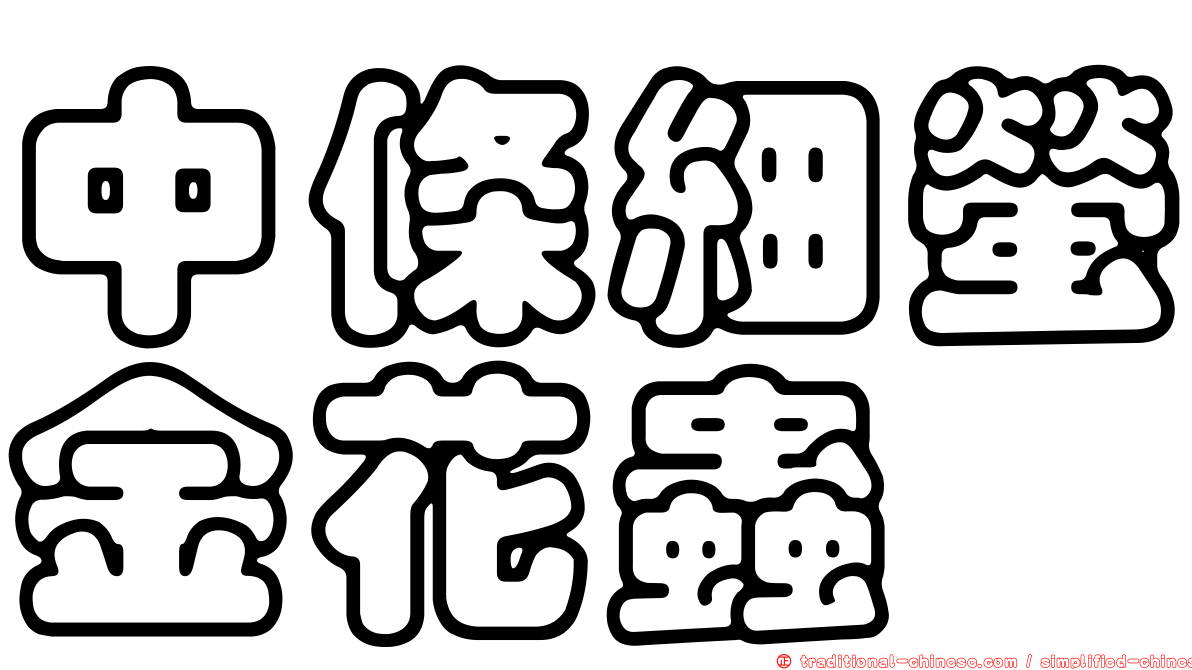 中條細螢金花蟲