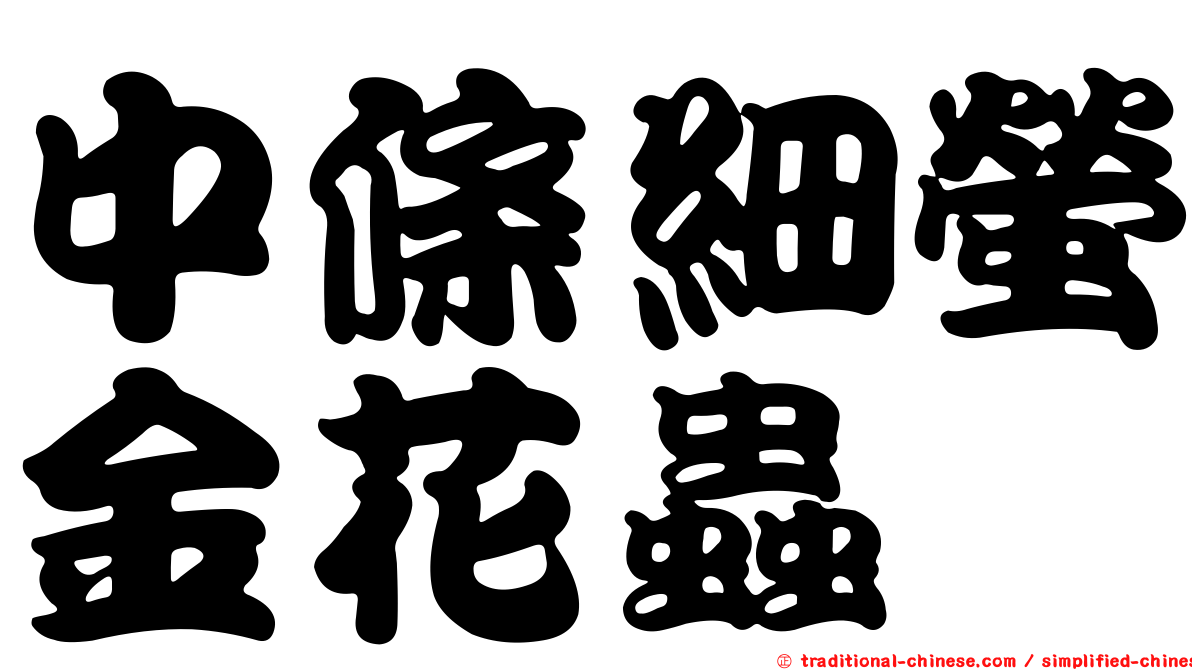 中條細螢金花蟲
