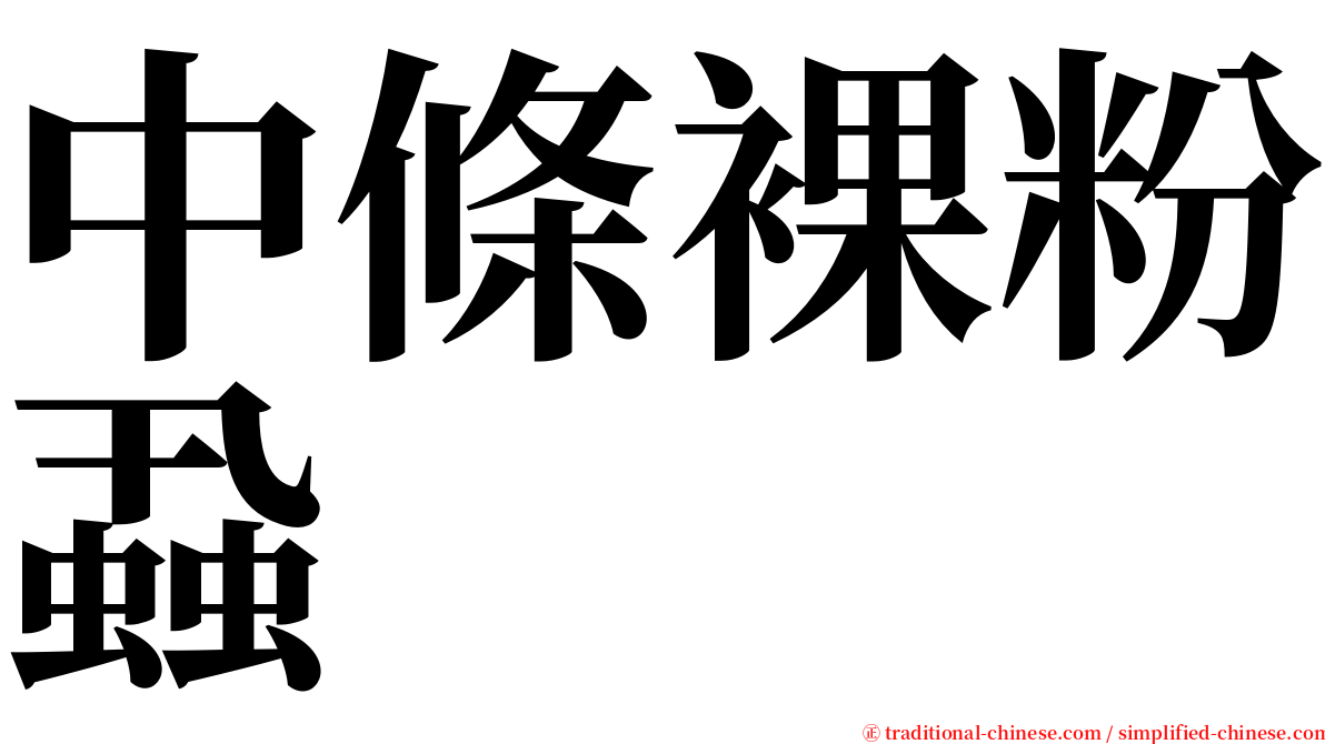 中條裸粉蝨 serif font