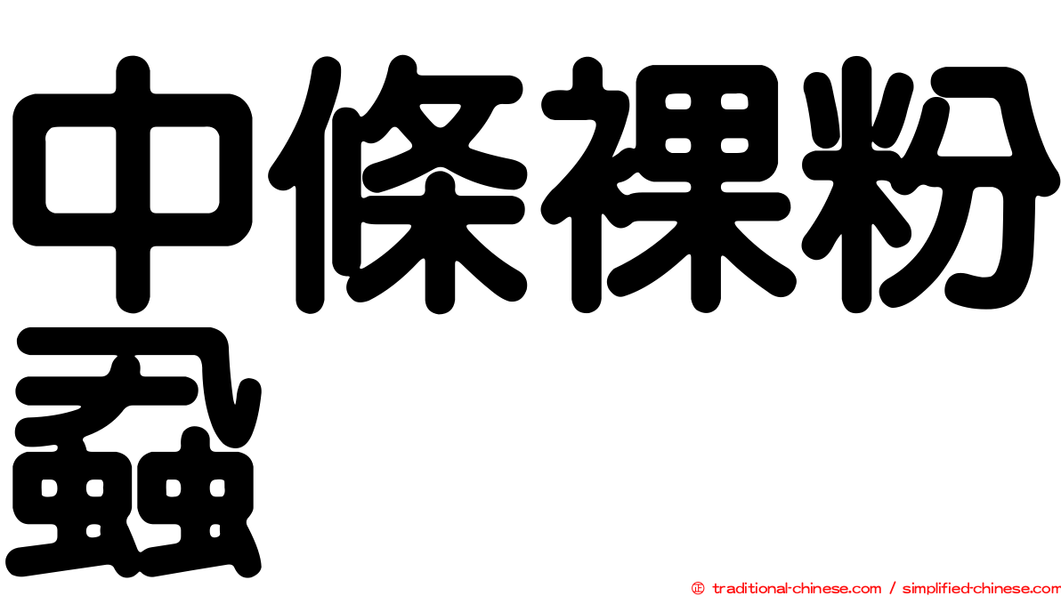中條裸粉蝨
