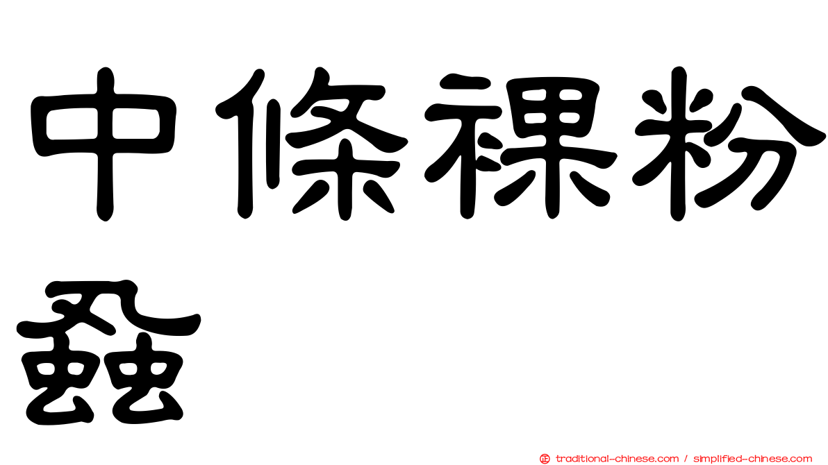 中條裸粉蝨