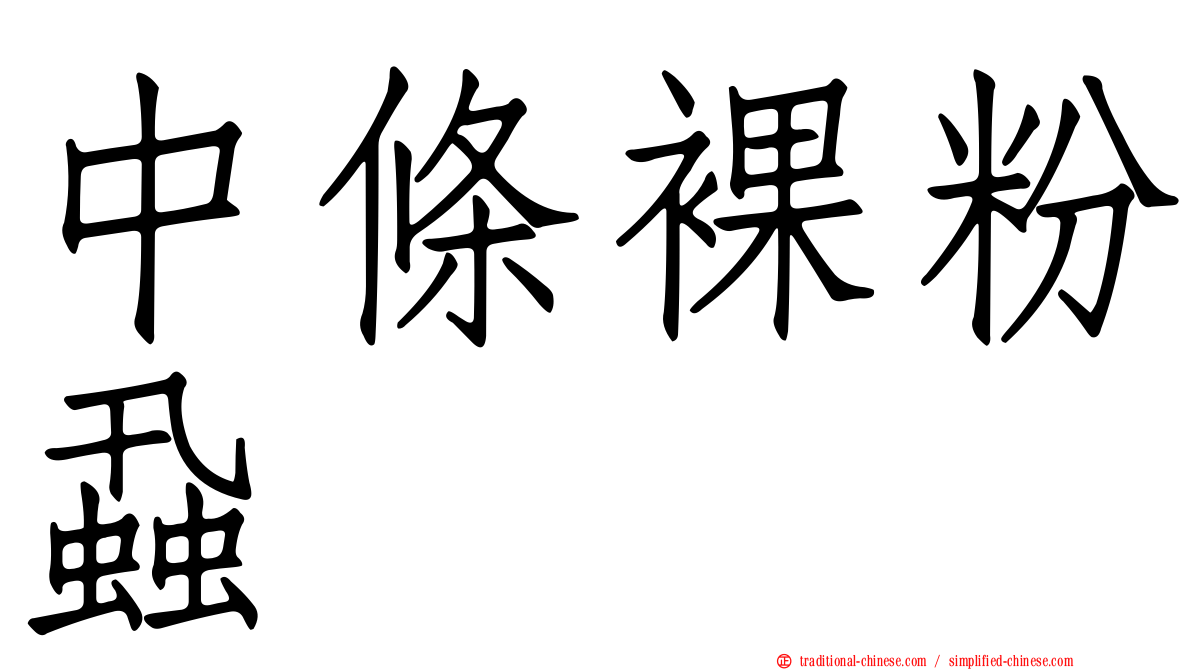 中條裸粉蝨