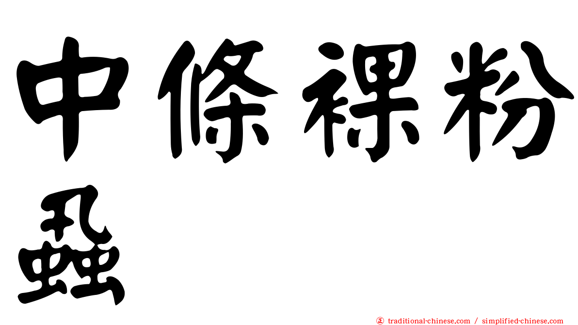 中條裸粉蝨