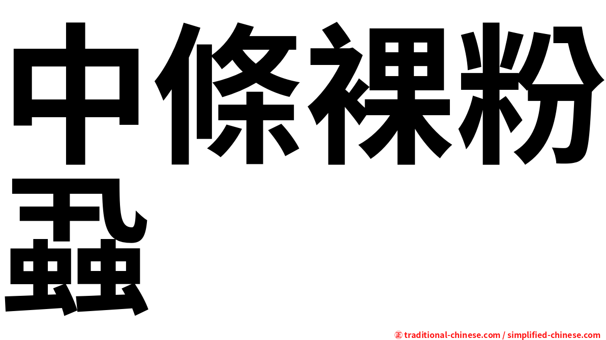 中條裸粉蝨