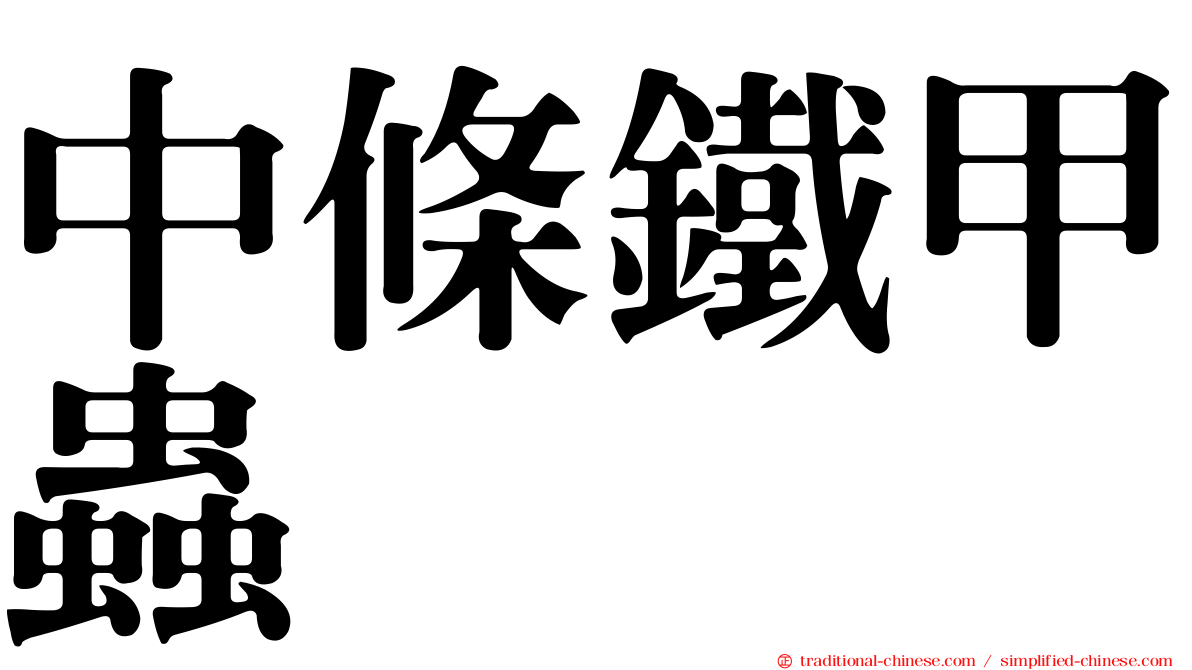 中條鐵甲蟲