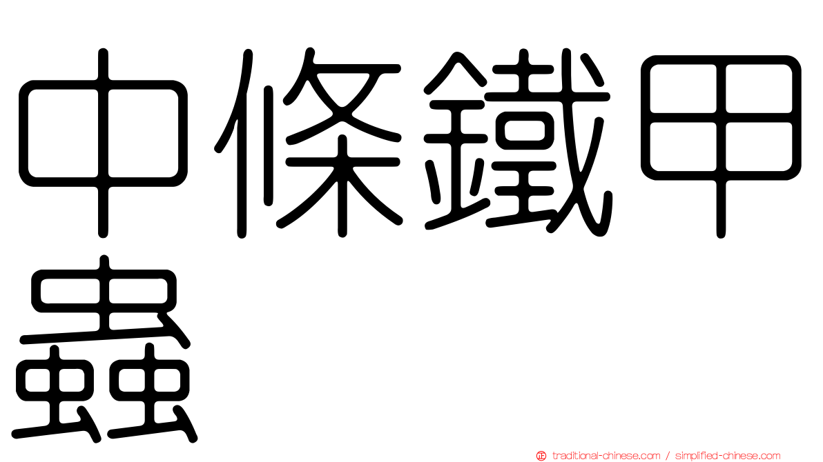 中條鐵甲蟲