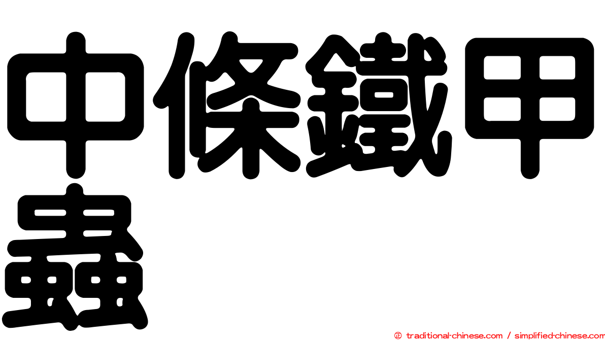 中條鐵甲蟲