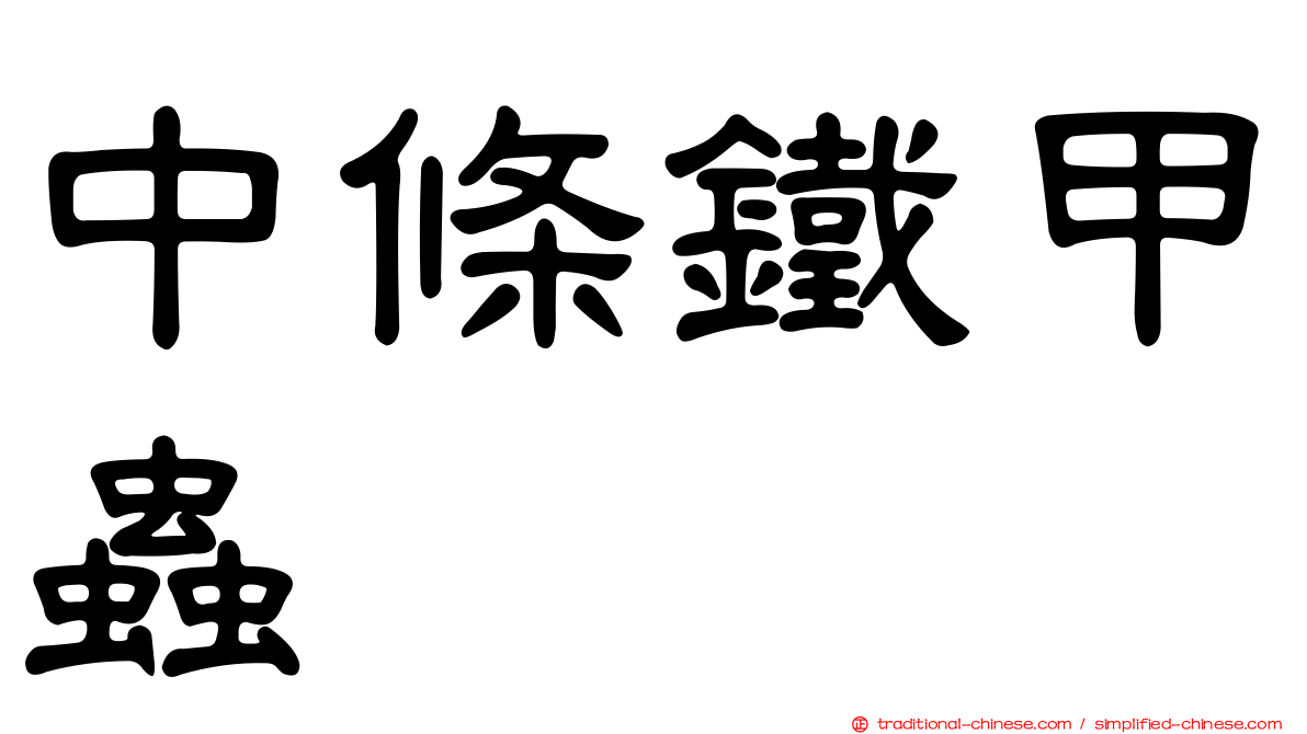 中條鐵甲蟲